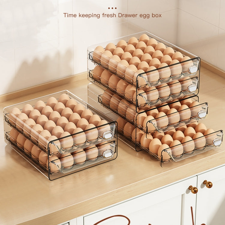 Extra Large Single Layer 30 Grid Egg Storage Box PET Transparent Multi-Specification Egg Box by bashfashion