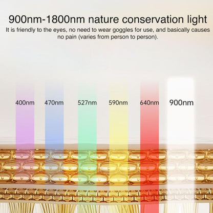 EDA0080395_B1.jpg@615368a4ed2a75b02431b3f0967d0f09