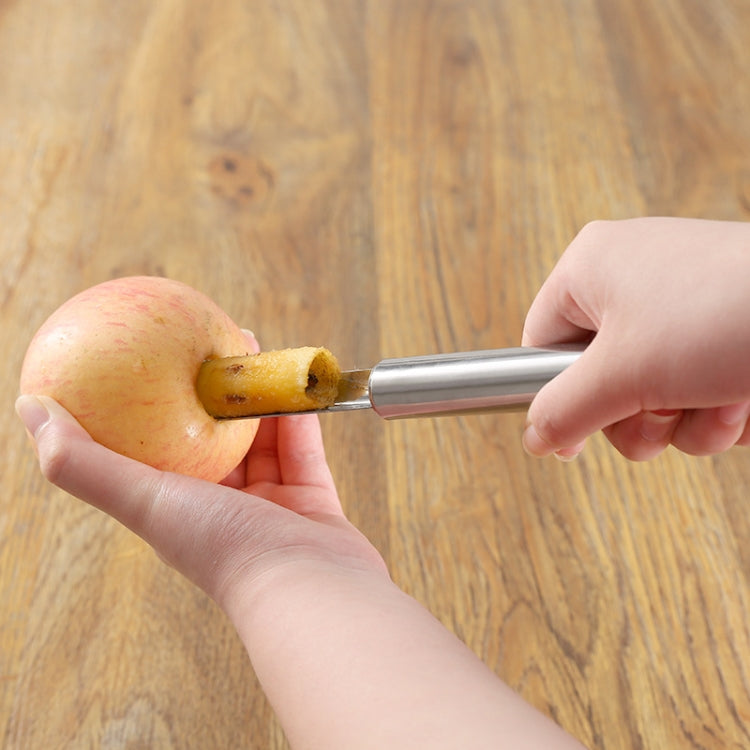 3 PCS Kitchen Stainless Steel Thickened Hawthorn And Red Dates Corer, Specification: 1cm by bashfashion