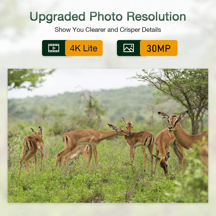 HC-801Pro 4K 4G Outdoor Hunting Camera App Remote Mobile Phone Control To View Photos And Video At Any Time, AU Plug by bashfashion